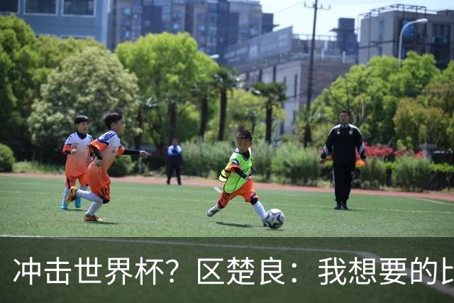 冲击世界杯？区楚良：我想要的比奇迹更多